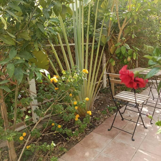 Eilat Stone Terrace-אילת סטון טראס Διαμέρισμα Εξωτερικό φωτογραφία
